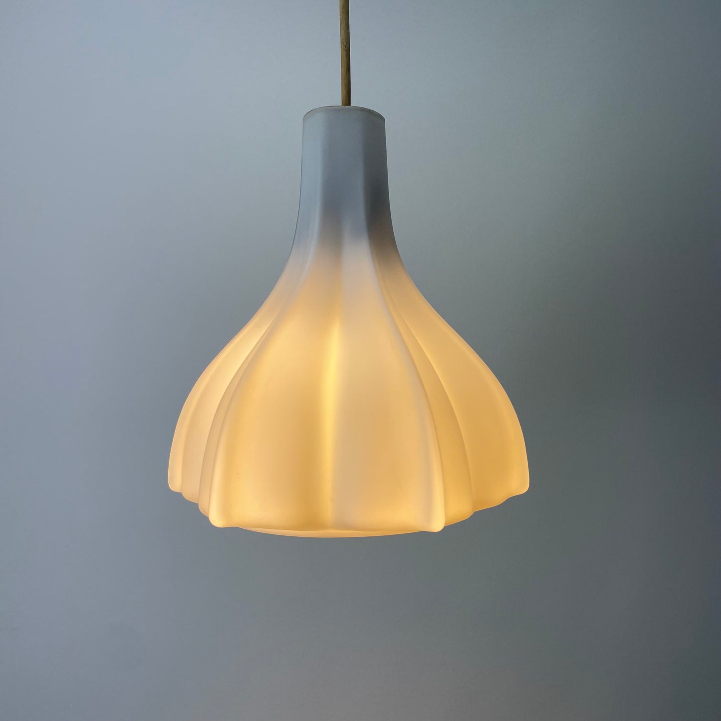 Flower shaped frosted white glass pendant light by Peill and Putzler 1960
