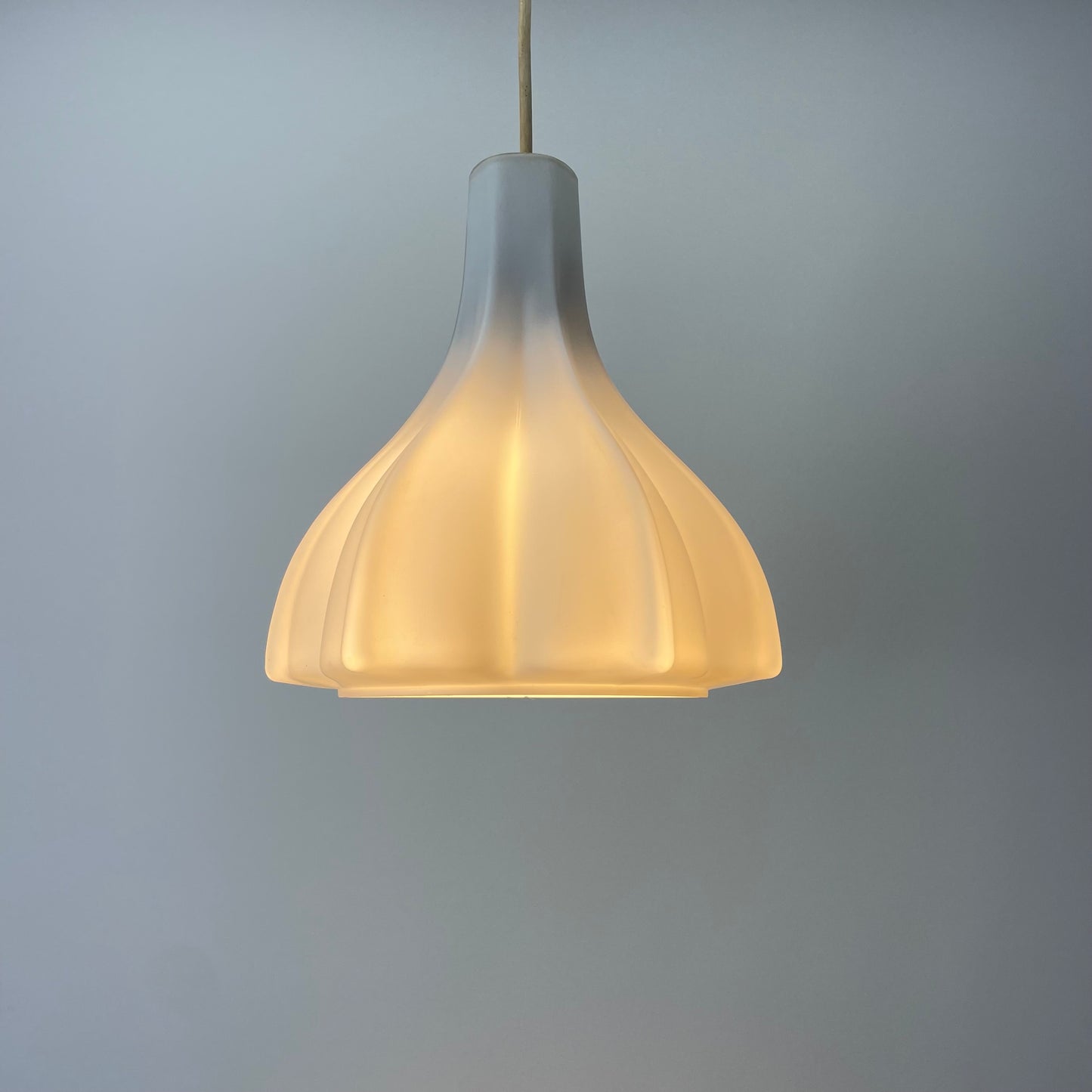 Flower shaped frosted white glass pendant light by Peill and Putzler 1960